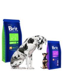 фото Brit Premium для собак