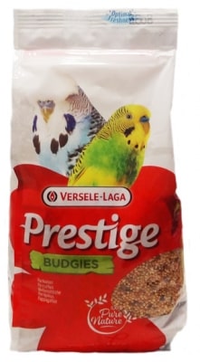 Советы по выбору корма для маленьких попугаев