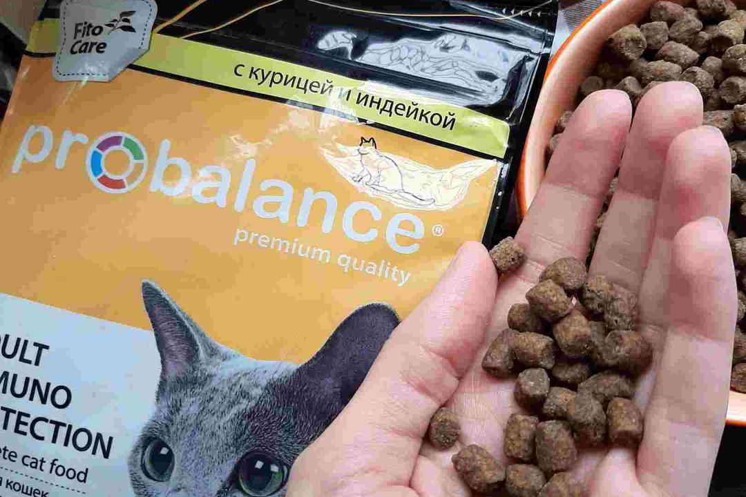 Корм Probalance для кошек - отзывы ветеринаров и владельцев животных